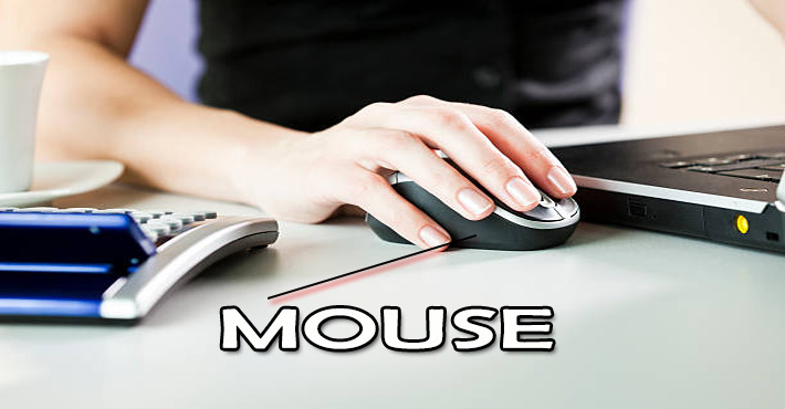 Mouse क्या है, कार्य, भाग, प्रकार, निर्मित व समस्त जानकारी