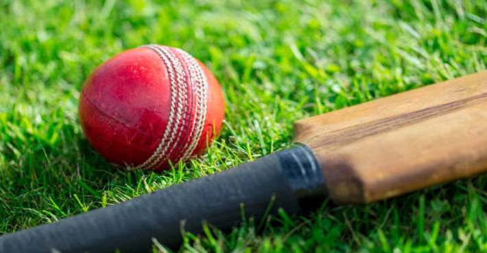 क्या क्रिकेट बैटिंग पैसा कमाने में मदद करती है?